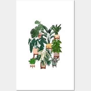 House plants collection 30.3 Posters and Art